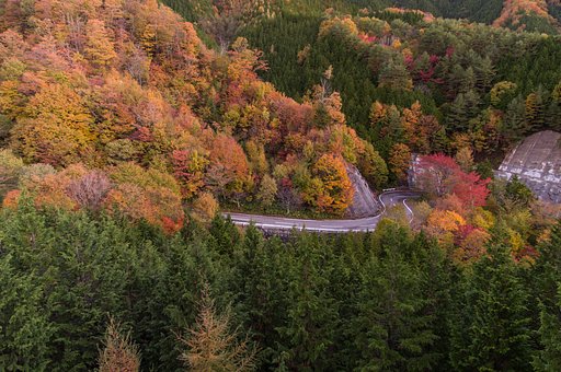 峠道_日の出前