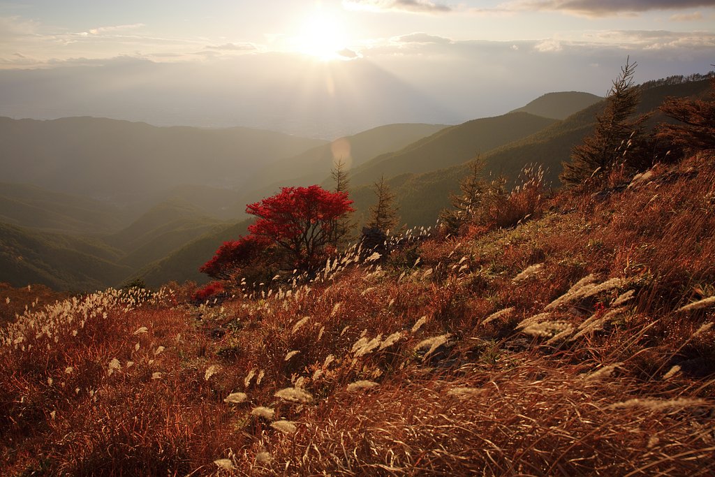 駆け降りるseason