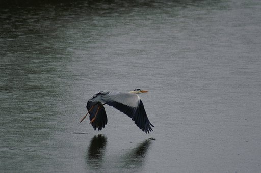 ワイオミングーーー！じゃなくて、、、