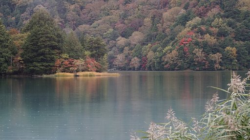 奥日光、湯ノ湖