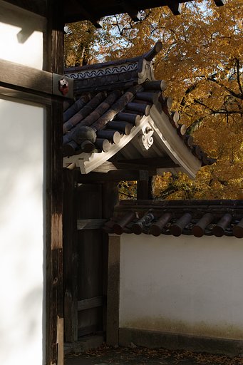 閑谷学校　Ⅱ