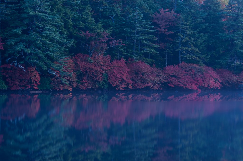 白駒池の目覚め_Anoter Ver