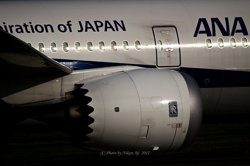 太陽が一杯