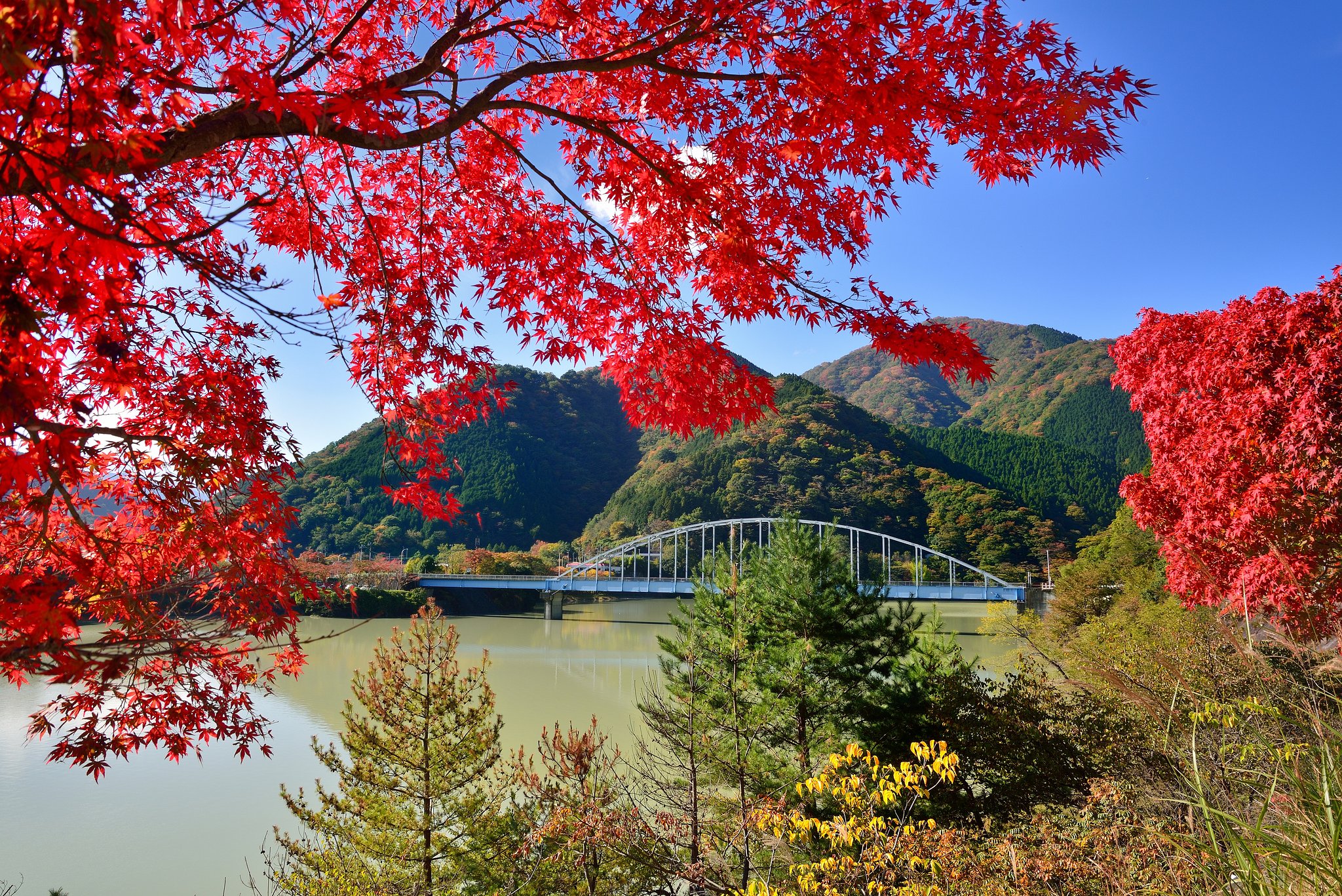 丹沢湖