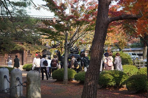世田谷探検隊