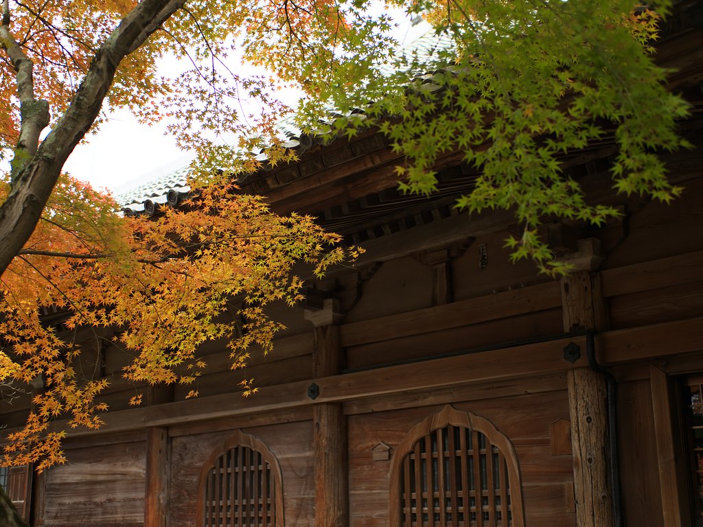 真福寺