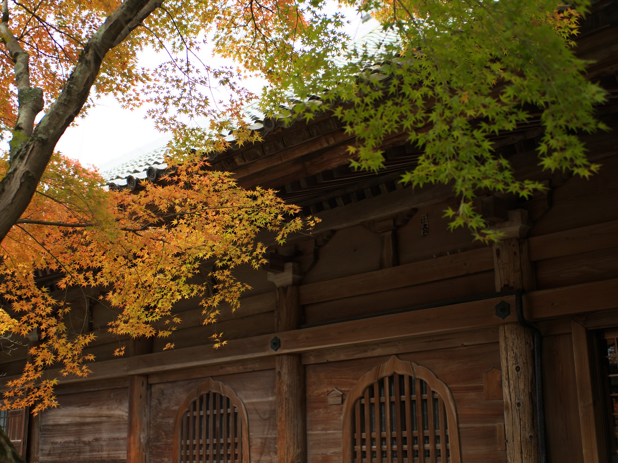 真福寺