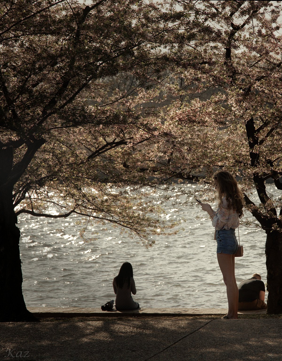 桜と女性
