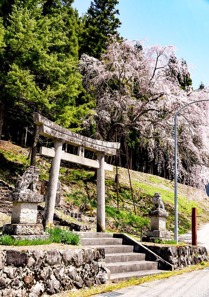 ５月のお題【散歩】