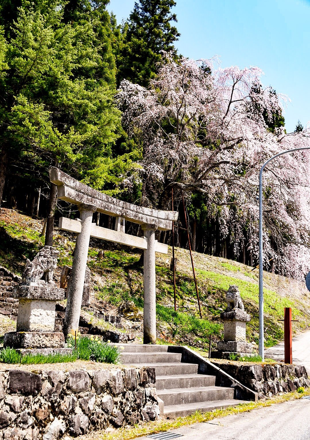 ５月のお題【散歩】