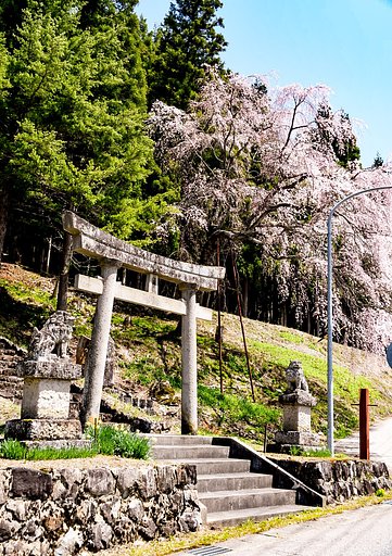 ５月のお題【散歩】