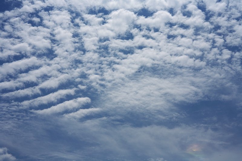 今日の空 梅雨の晴れ間