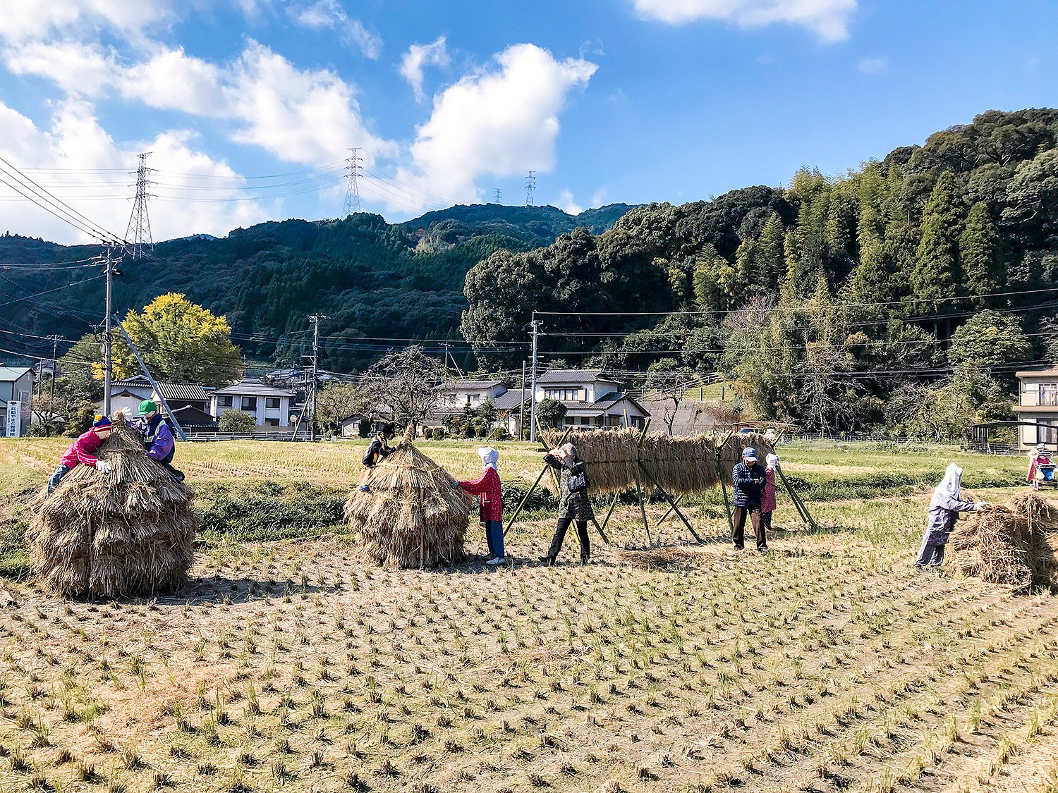 案山子