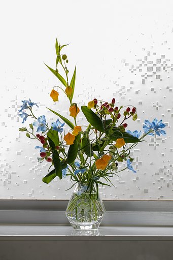 窓辺の花
