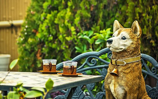 【犬とか猫とか動物たち】ティータイム