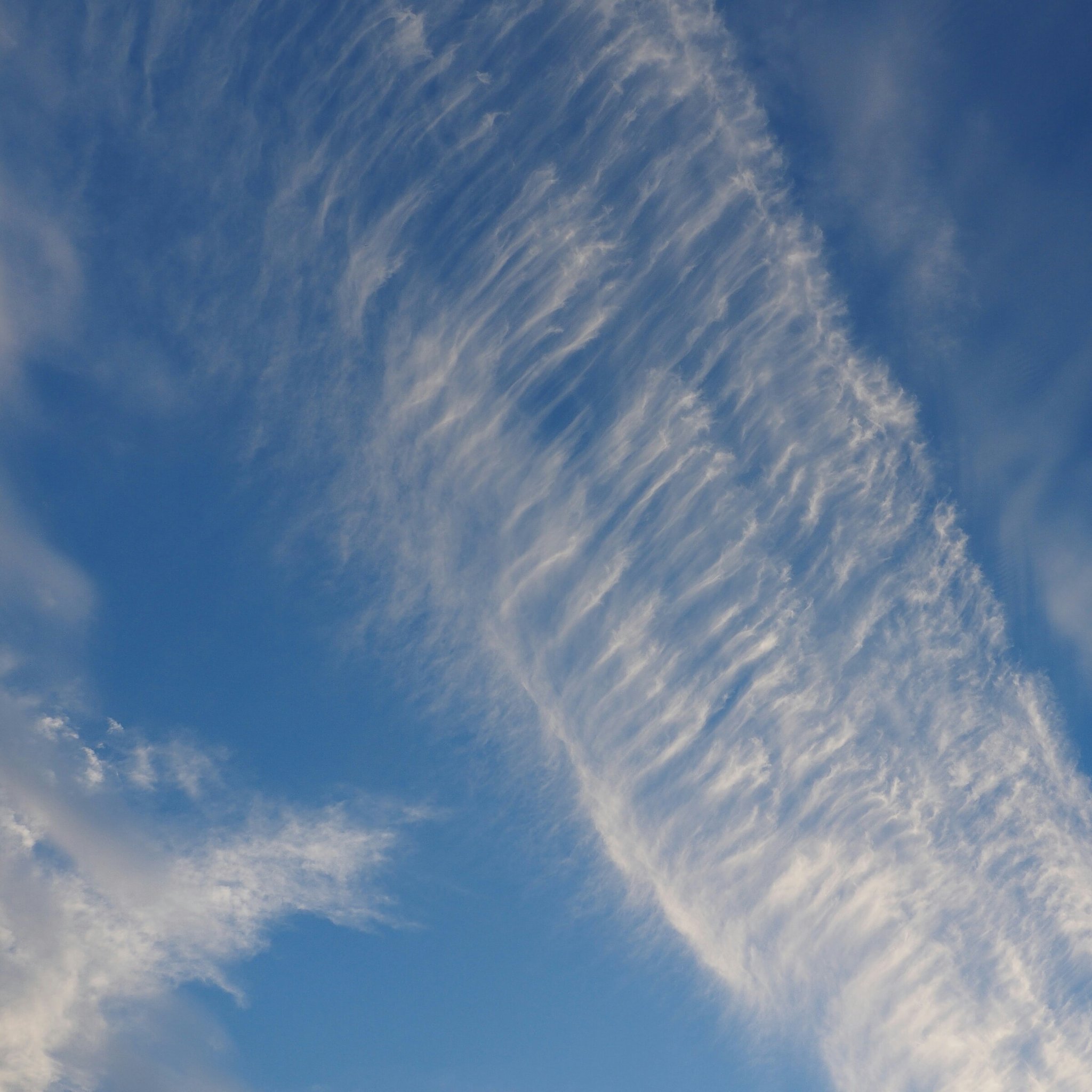 ほつれ雲