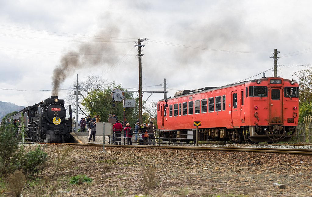 D51