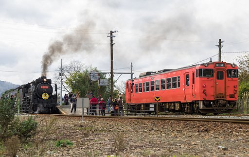 D51