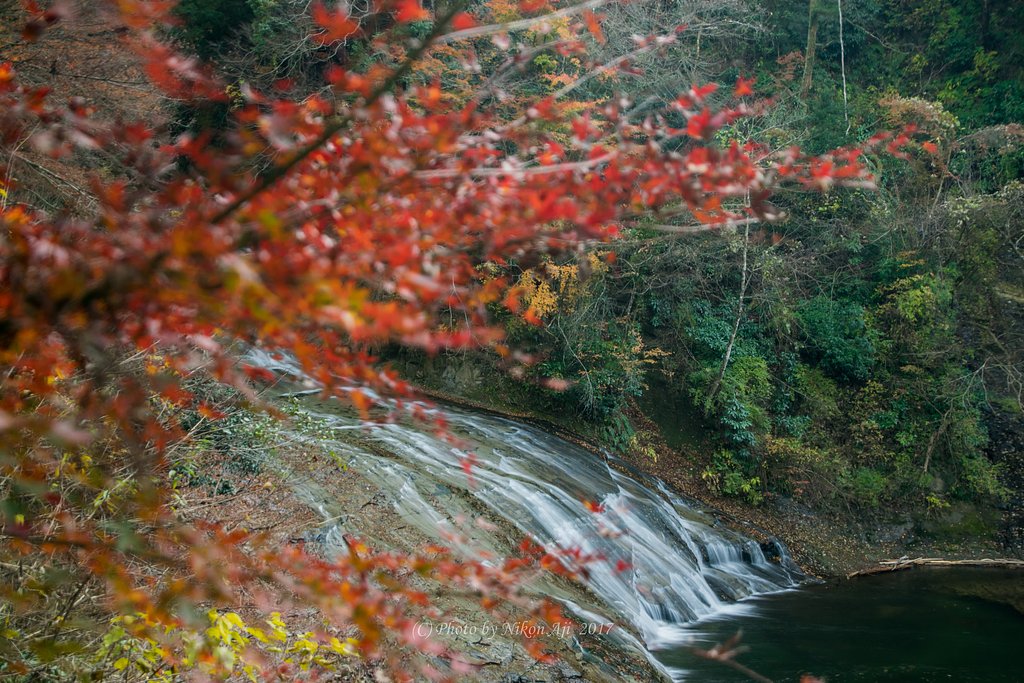 養老渓谷’17ｙ　紅葉