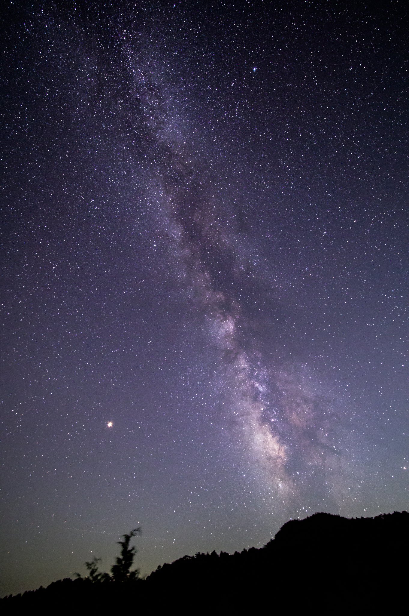 SAMYANG　10mm F2.8 ED AS NCS CS[