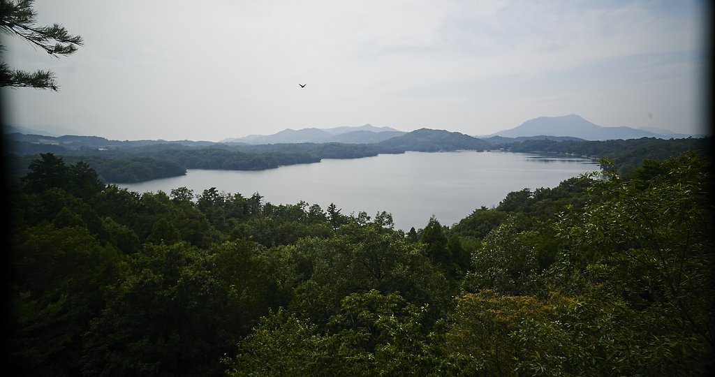 里山撮影