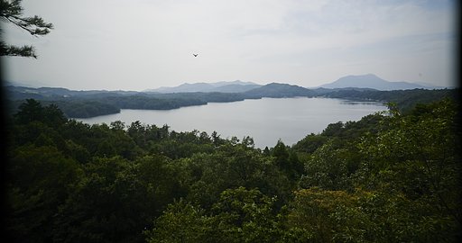 里山撮影