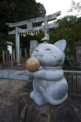 溜池遊記
