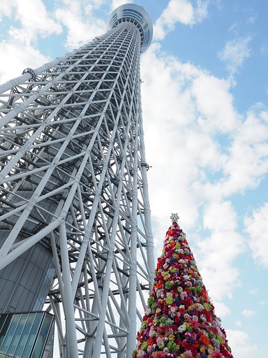 大きなツリーと小さなツリー