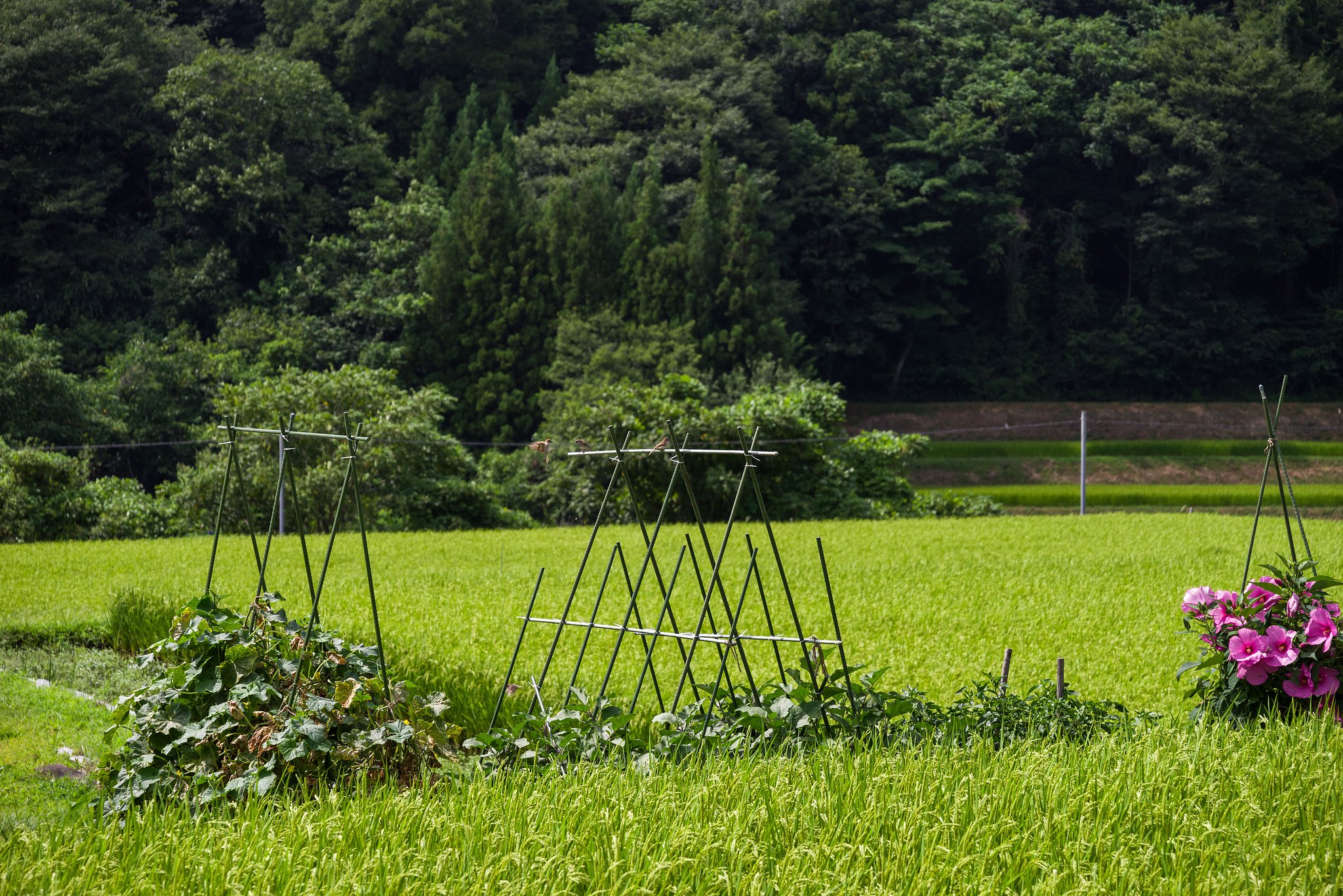 向こうは、何かあった？