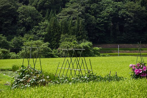向こうは、何かあった？