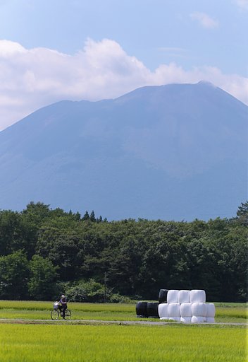 岩手にて：冬支度