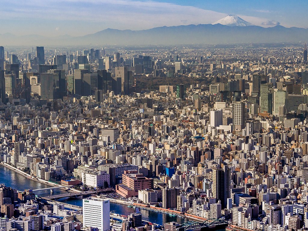 【白】富士山