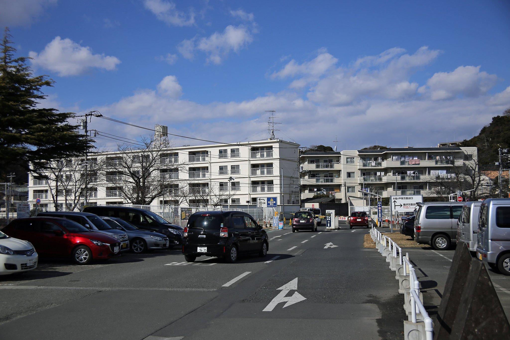 今日の一枚