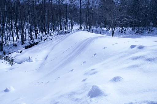 Rabbit Hill（裏Ver) 