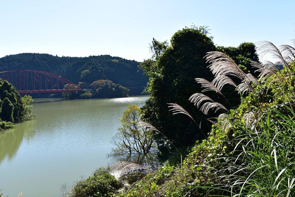ススキの有る風景