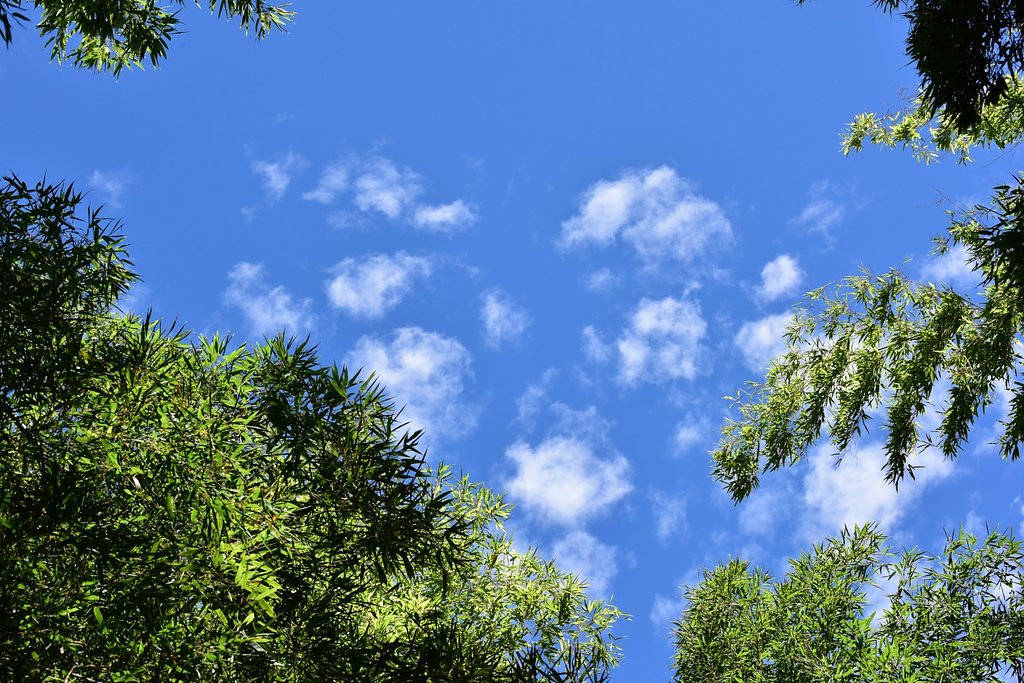 【白】雲