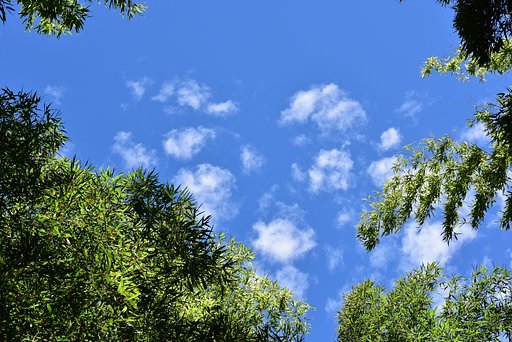 【白】雲