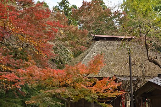 中尊寺2
