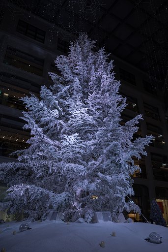 東京・ホワイトクリスマス