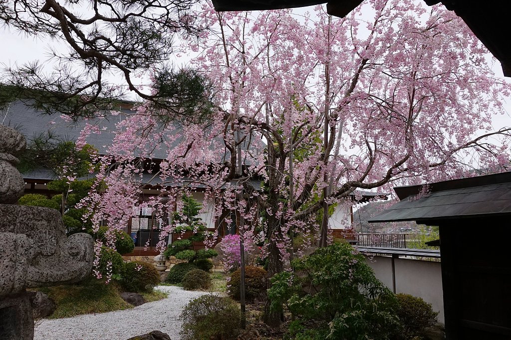 見納め