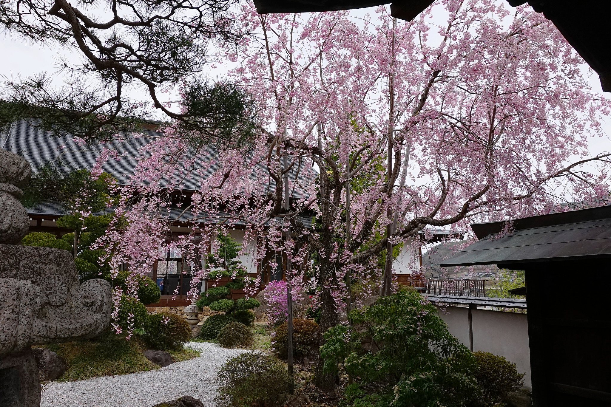見納め