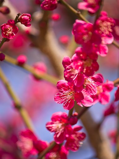 3月7日の写真