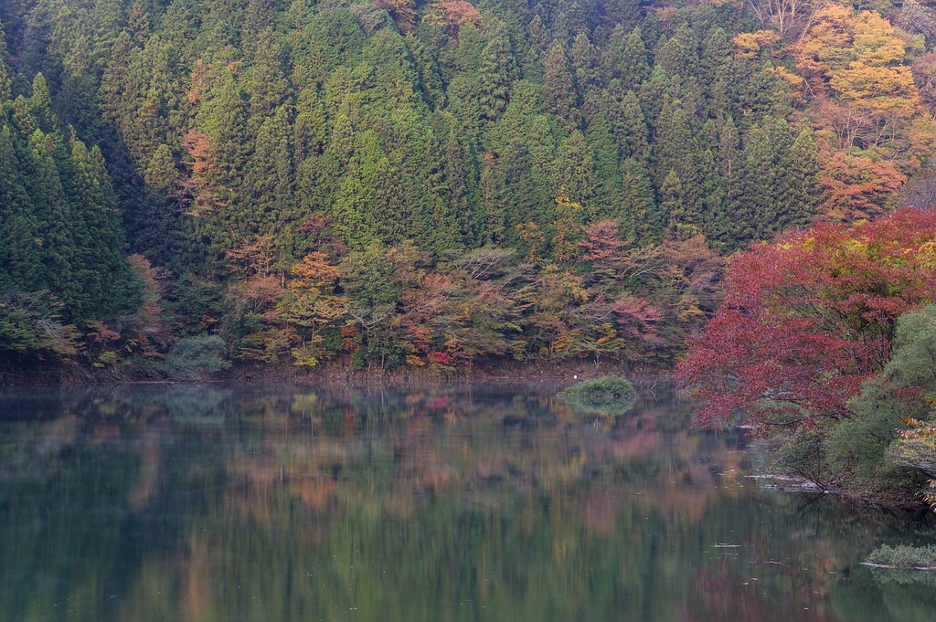 秋の訪れ