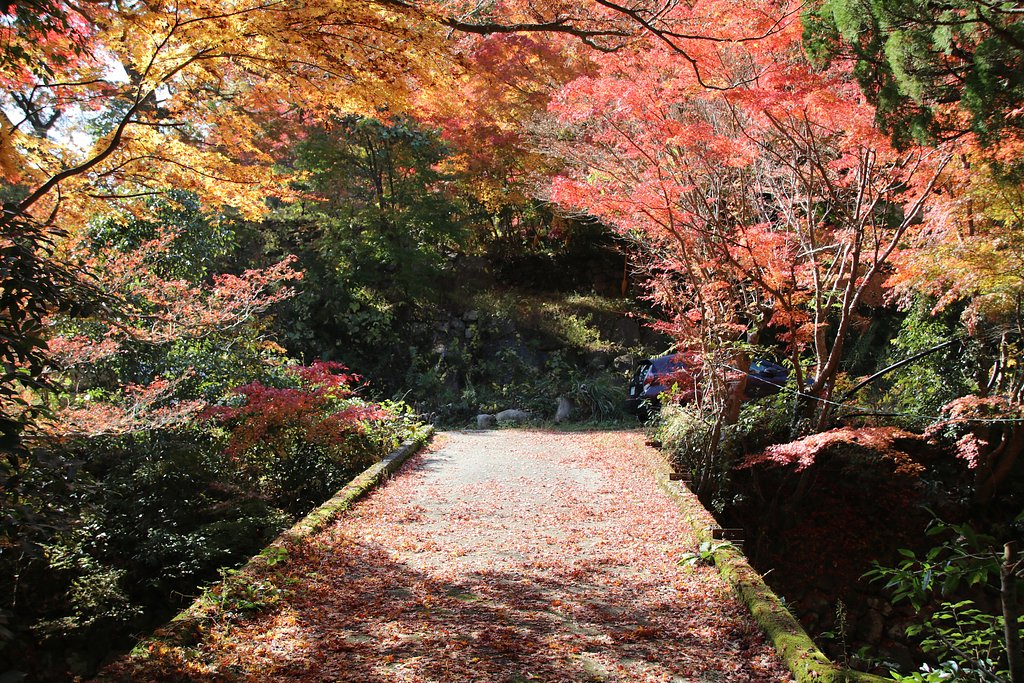 紅葉橋