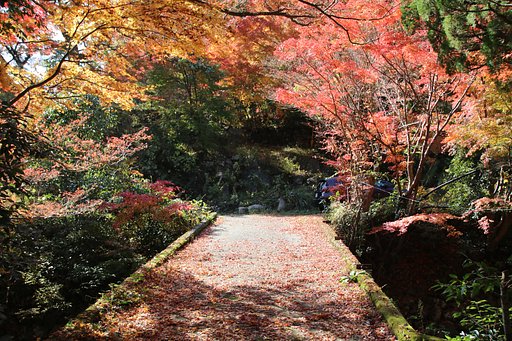 紅葉橋