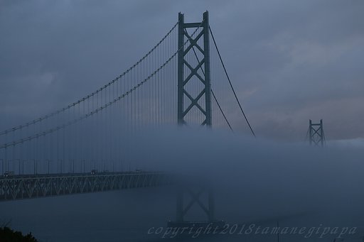 1月17日の写真
