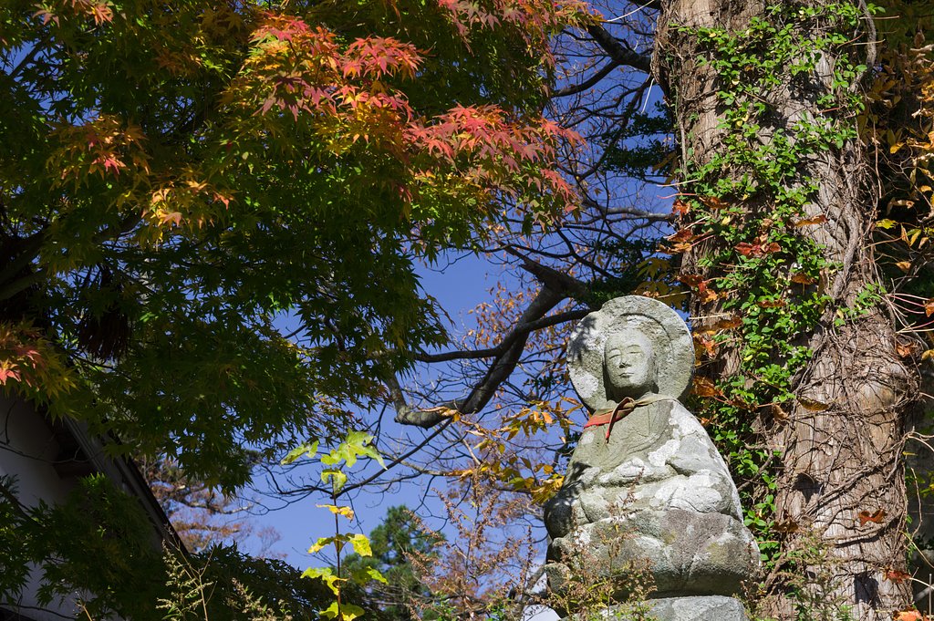 紅葉