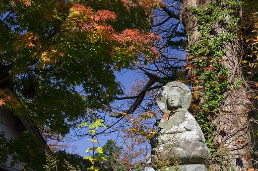 紅葉