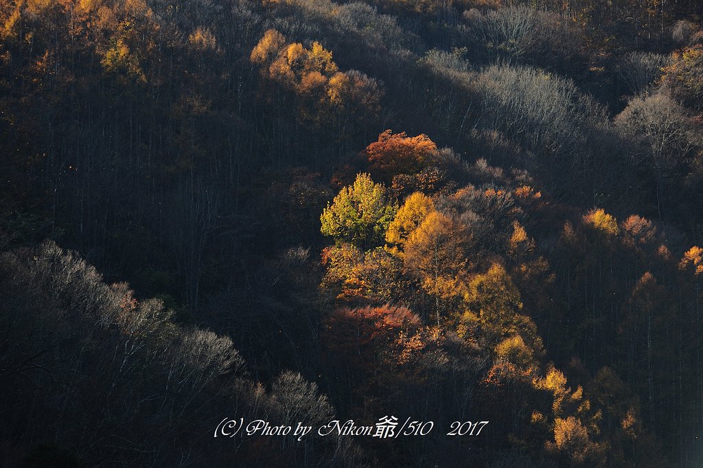 山彩