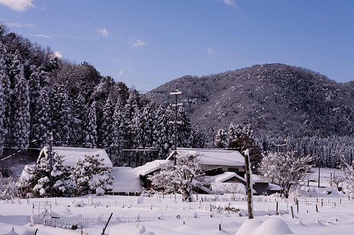 豪雪